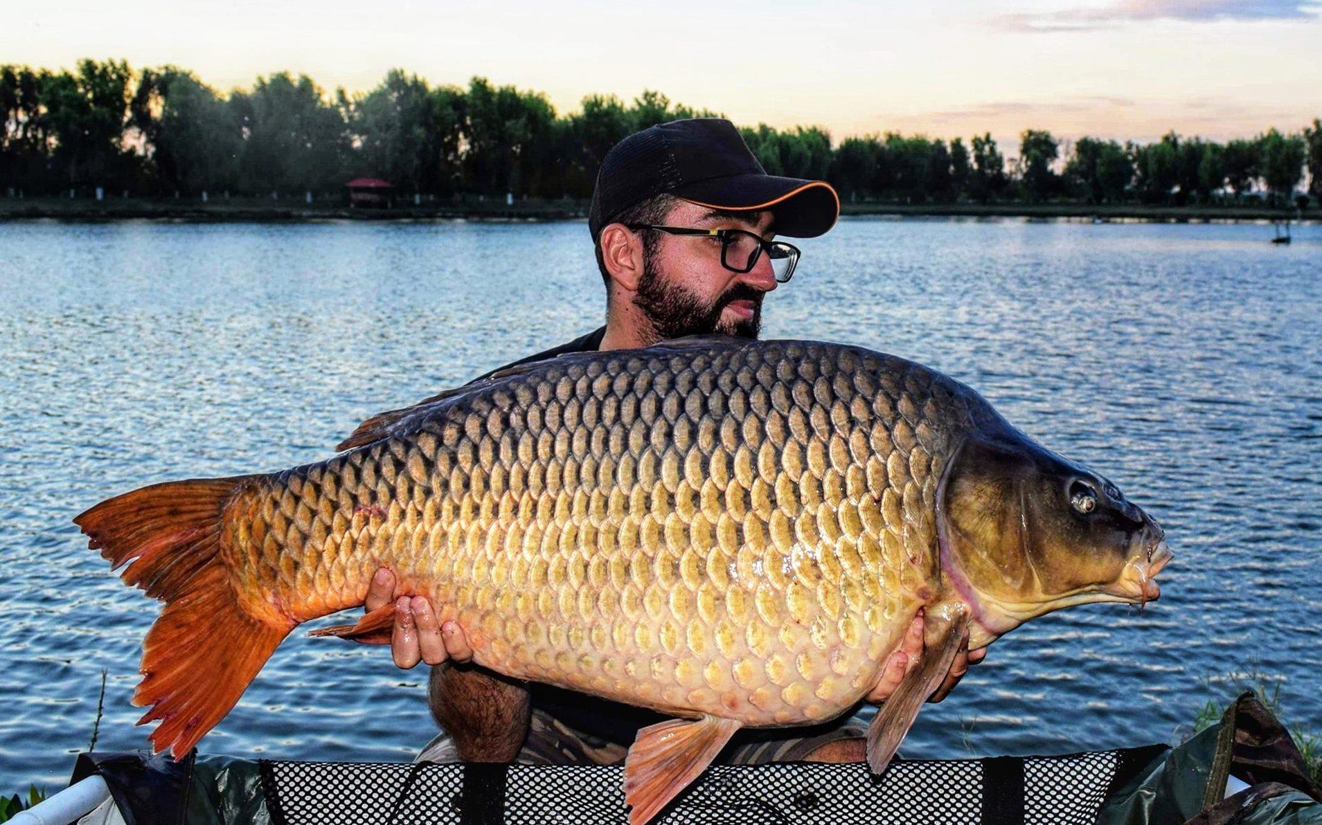 Strategii pentru partidele scurte de pescuit la crap